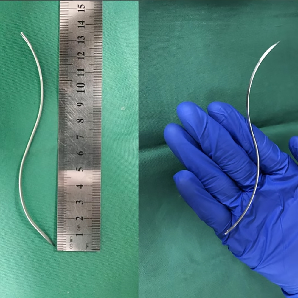Pet Supplies Vet Clinic - Animal S-shaped Suture Needle Chromium Nickel
