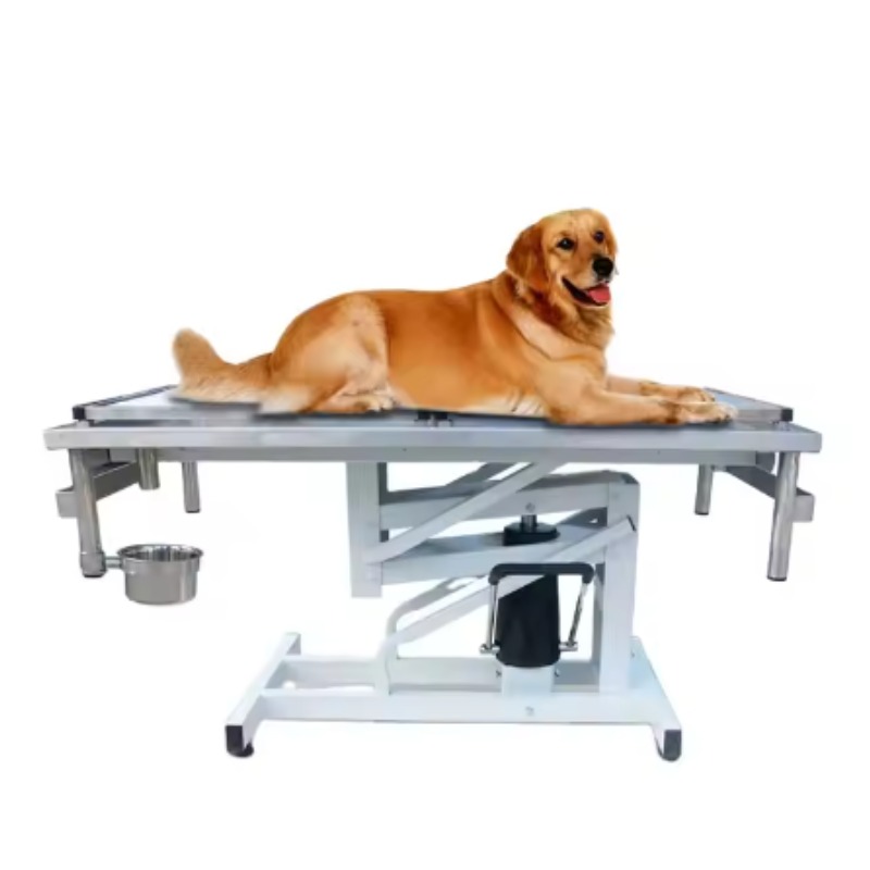 Pet Supplies Vet Clinic - 2026 Medical Veterinary Equipment 304 Stainless