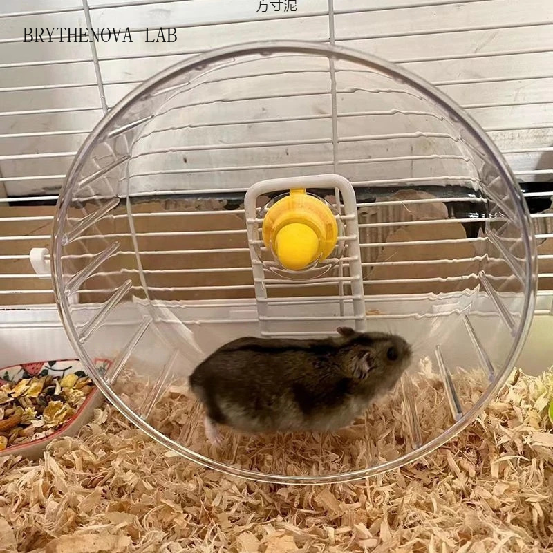 Hamster Running Wheel with Sta - огляд і ціна Hamster Cage Wheel