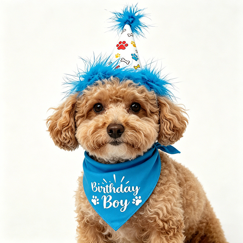 Dog Birthday Party Set Bandana - огляд і ціна Pet Supplies In Bulk