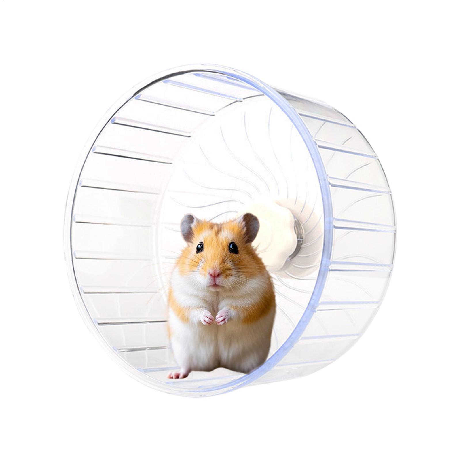 Hamster Running Sport Transpar - огляд і ціна Hamster Cage Wheel