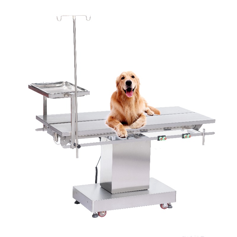 2026 Vet Examination Table Ani - огляд і ціна Pet Supplies Vet Clinic