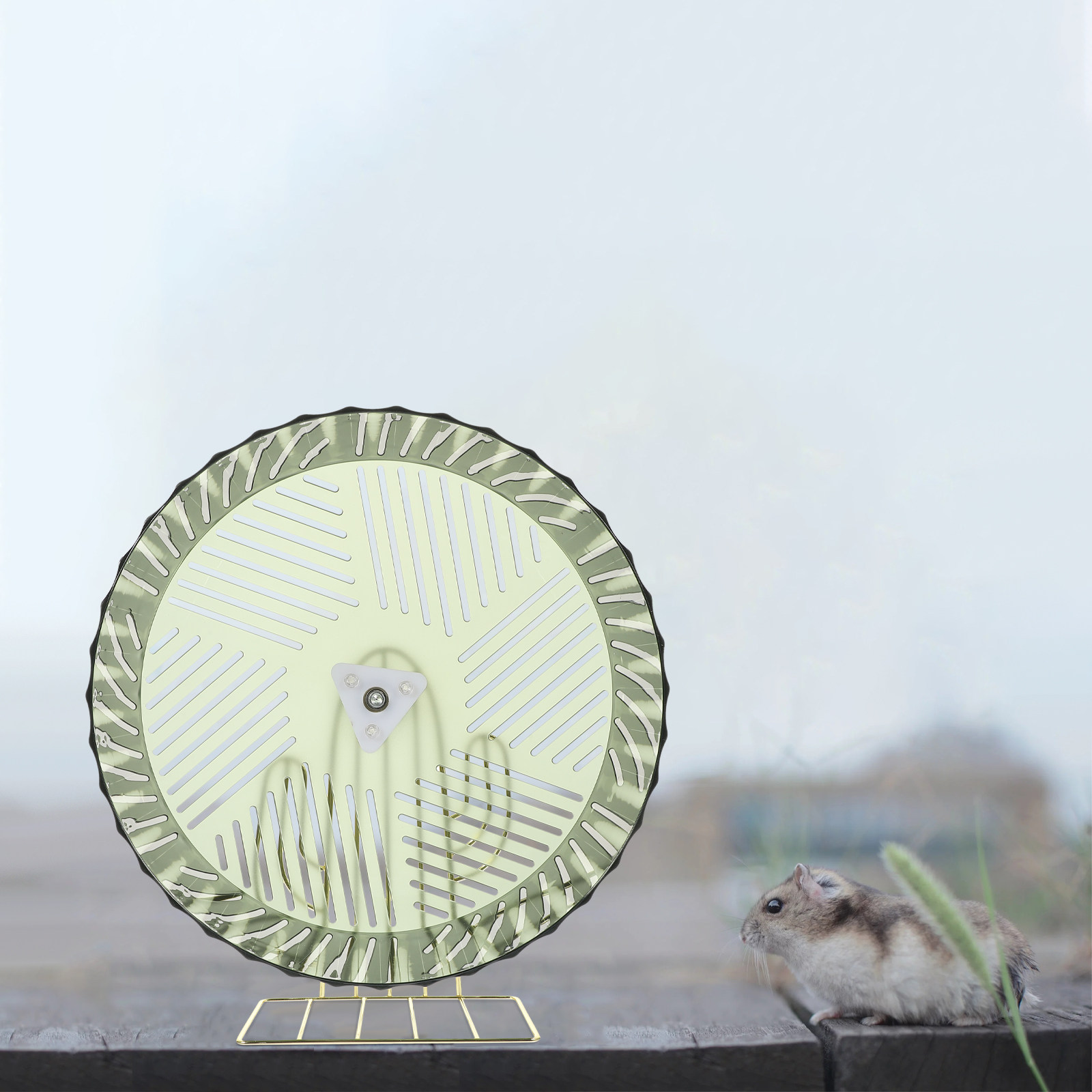 Healthy Growth Hamster Wheel E - огляд і ціна Hamster Cage Wheel
