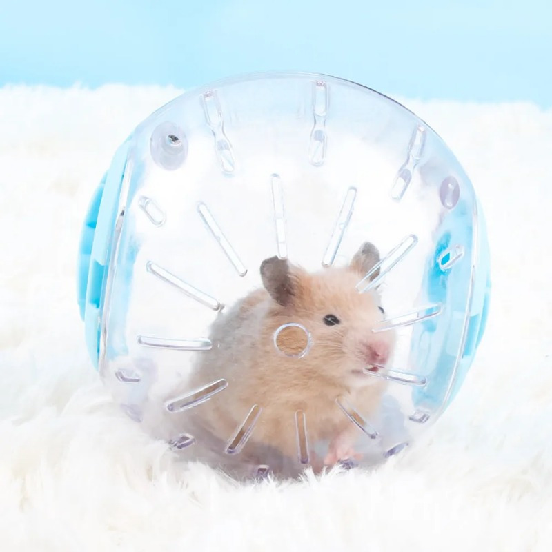 Plastic Outdoor Sport Ball Gro - огляд і ціна Hamster Cage Wheel