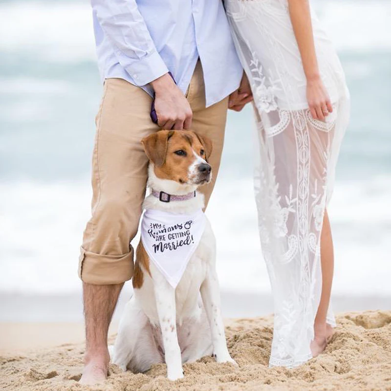 My Humans are Getting Married  - огляд і ціна Dog Bandana Scarf