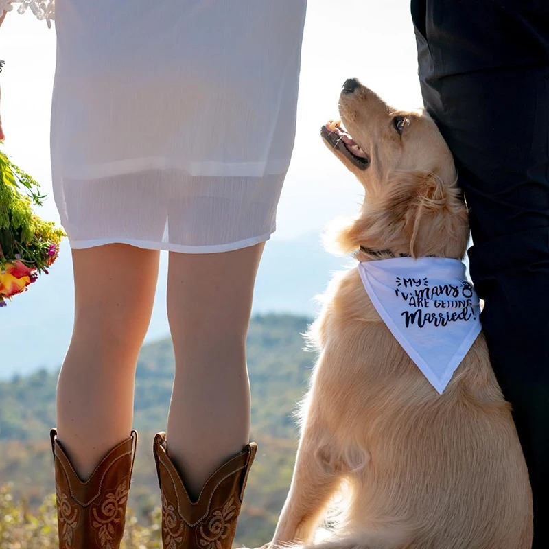 My Humans are Getting Married  - огляд і ціна Dog Bandana Scarf