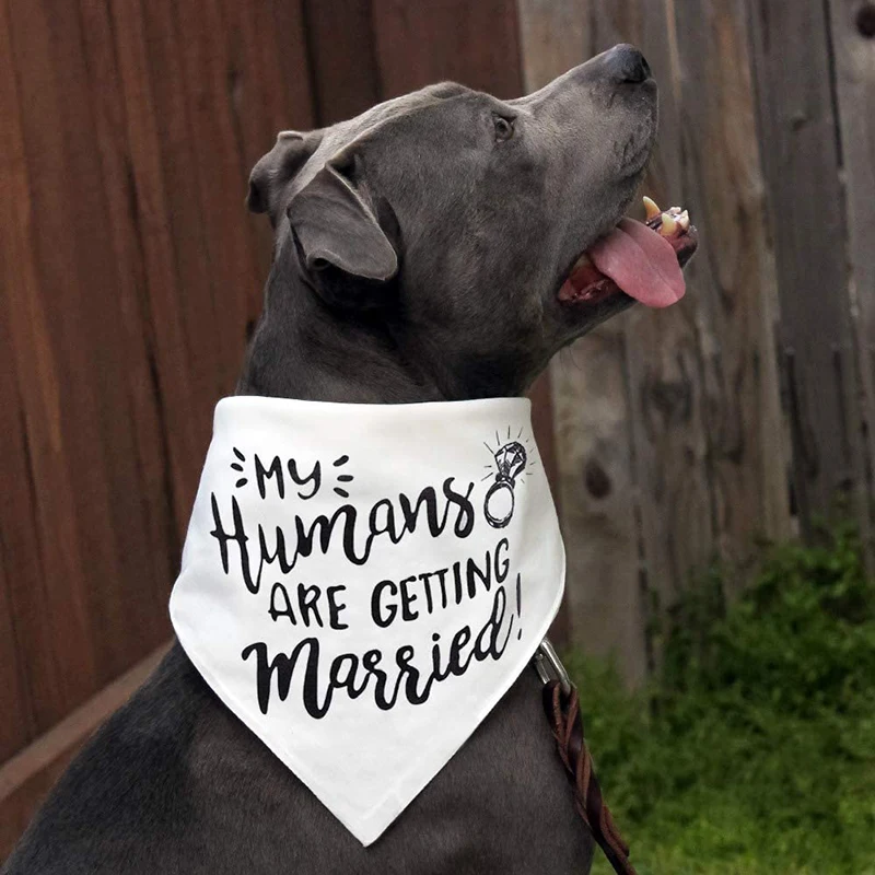 My Humans are Getting Married  - огляд і ціна Dog Bandana Scarf