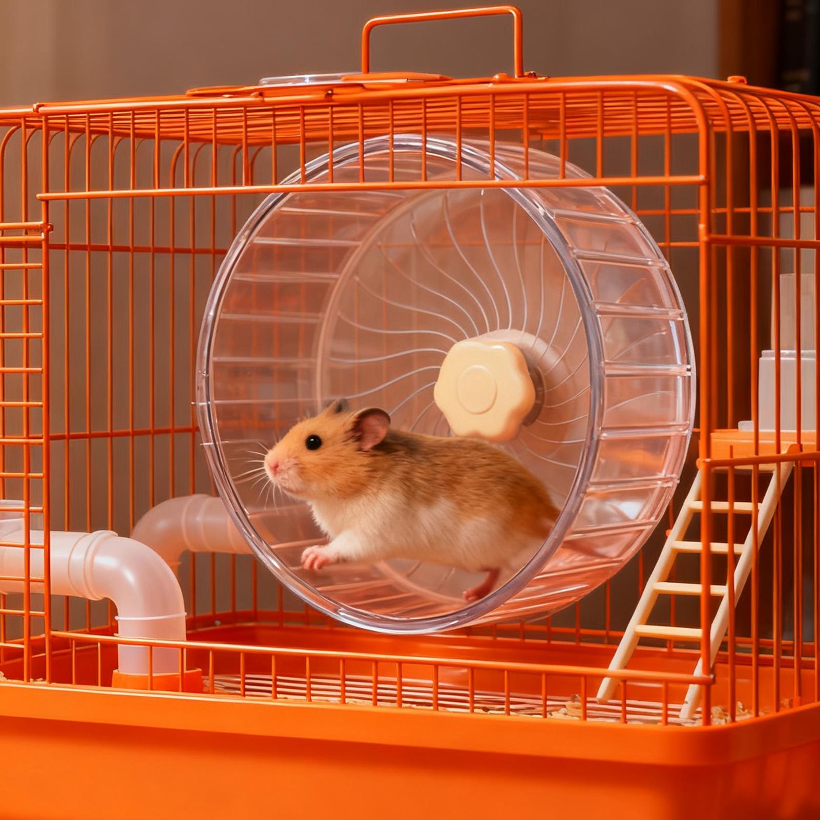 Silent Hamster Wheel Quiet Dou - огляд і ціна Hamster Cage Wheel