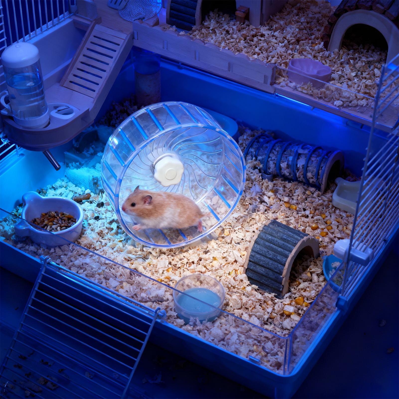Silent Hamster Wheel Quiet Dou - огляд і ціна Hamster Cage Wheel