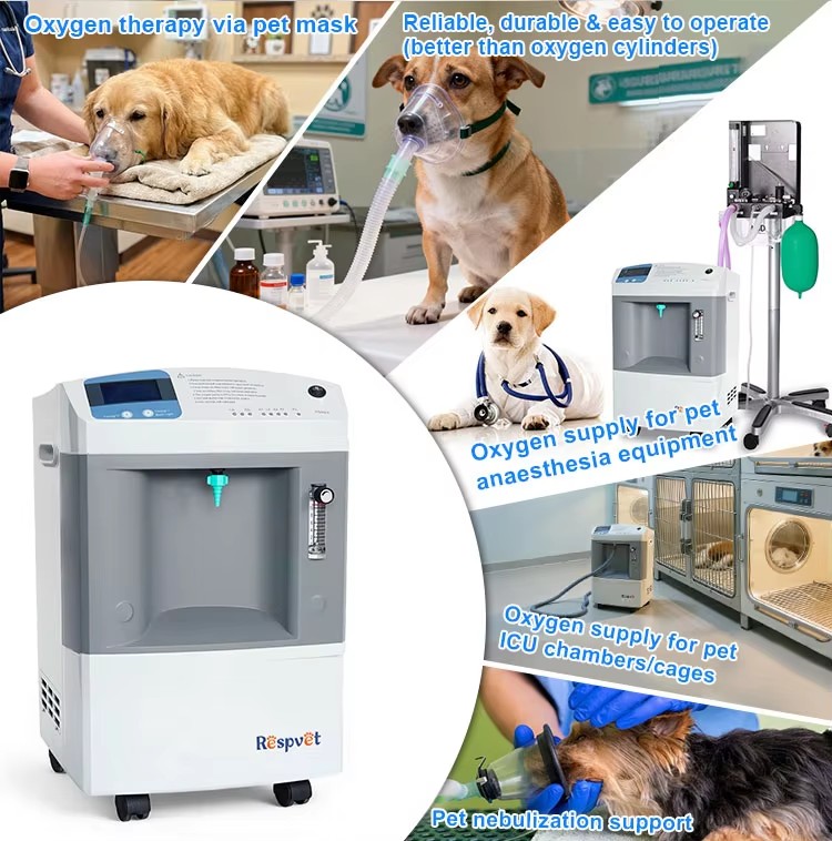 Veterinary Oxygen Supply Devic - огляд і ціна Pet Supplies Vet Clinic