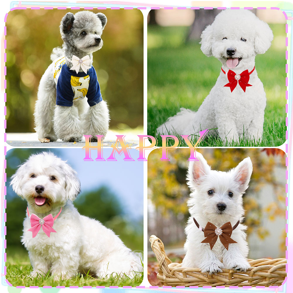 8PCS Dog Collar Floral Ribbon  - огляд і ціна Pet Supplies In Bulk